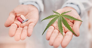 Fito-pillole: Cannabis (3)